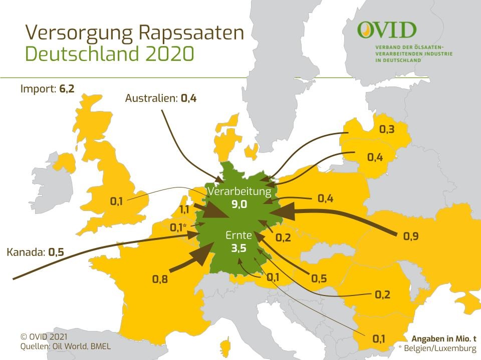 Deutschland ist zunehmend auf Rapsimporte angewiesen