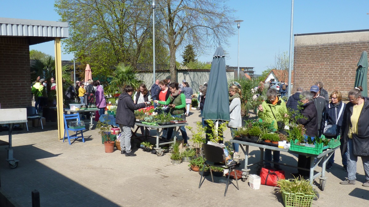 Pflanzenmarkt im Botanischen Garten am 23. April