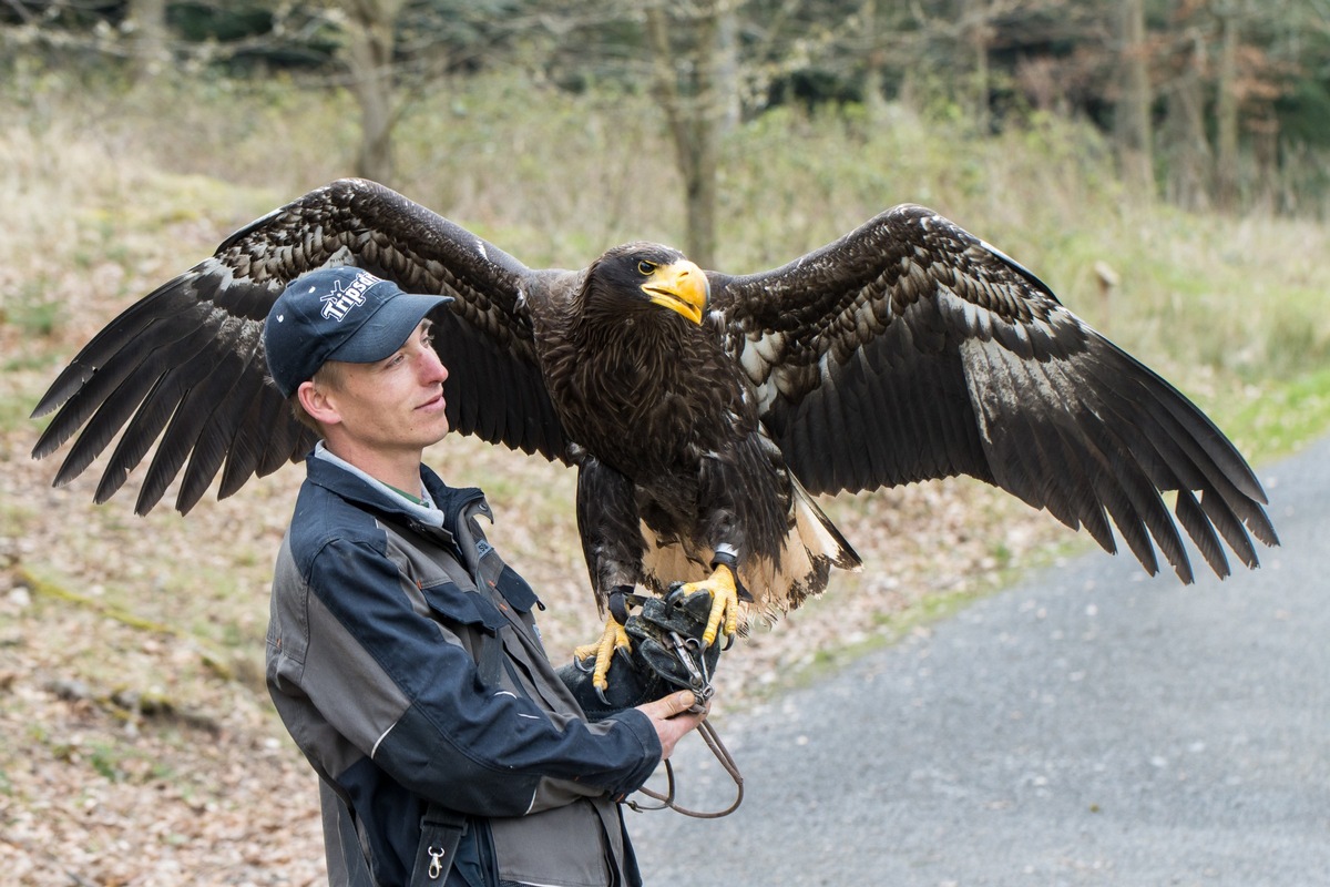 Tierisch viel zu tun im Wildparadies