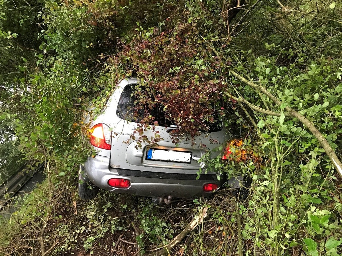 POL-PPWP: Auto landet in Gebüsch - Zeugen gesucht