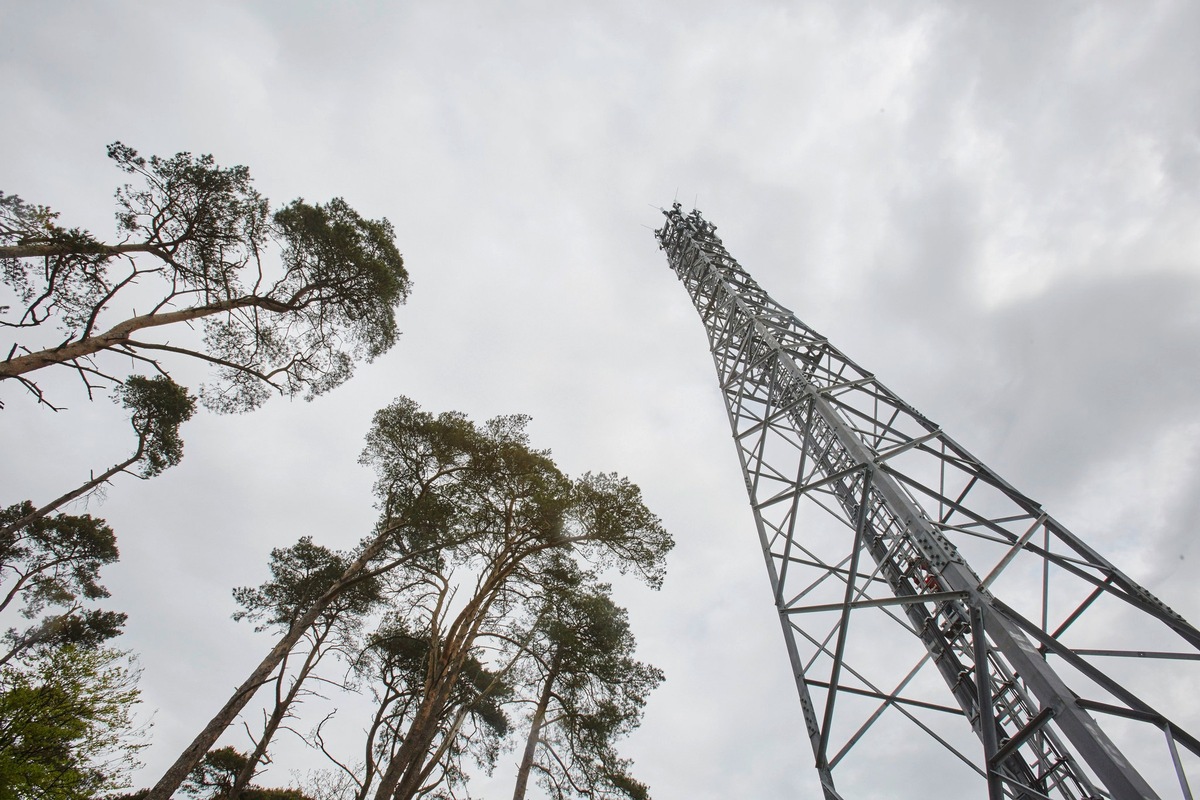 Silvester-Rekord: 60 Prozent mehr Datennutzung im Vodafone-Netz