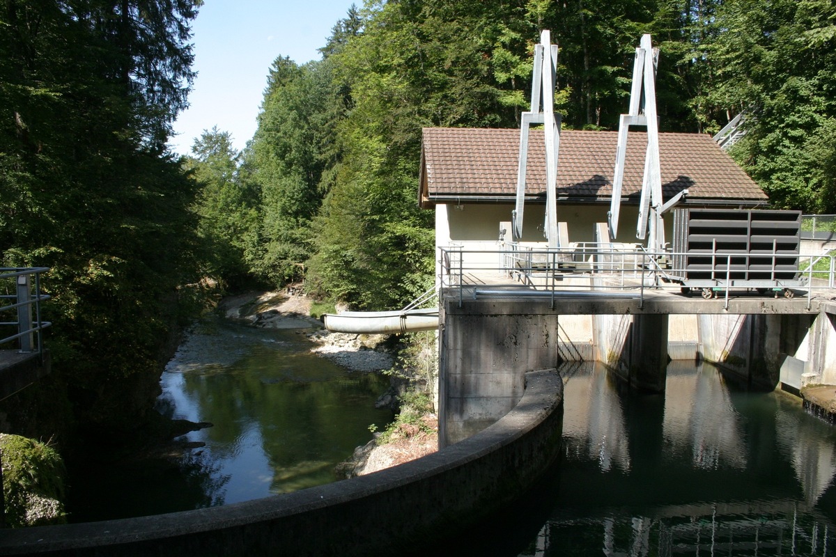 SAK Medienmitteilung: SAK verbaut innovativen ETH-Fischleitrechen beim Kraftwerk Herrentöbeli