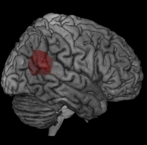 Prix de la recherche 2012 de la Ligue suisse pour le cerveau: Sur les traces de la conscience / Remise du prix de la recherche le 12 mars à Lausanne