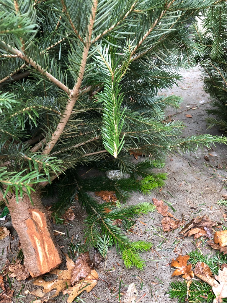 POL-NE: Bescherung unterm Weihnachtsbaum - Pfarrer findet Drogenpäckchen