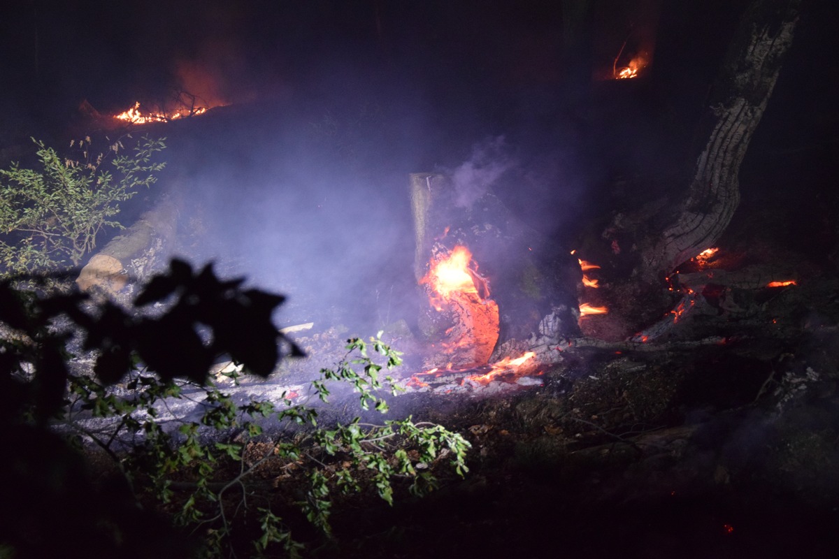 FW-MK: Waldbrand in Lössel