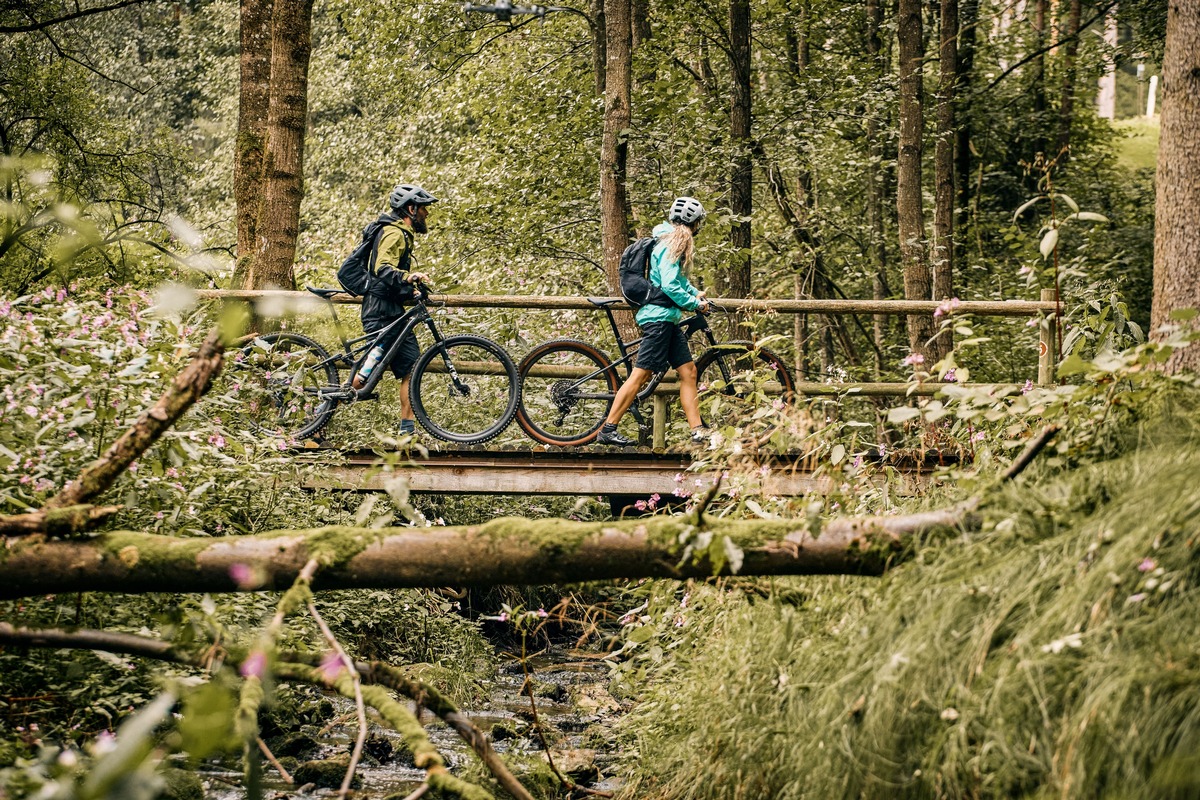 Auf der Trans Bayerwald durch den Bayerischen Wald / Fordernd, wild, aussichtsreich, grün