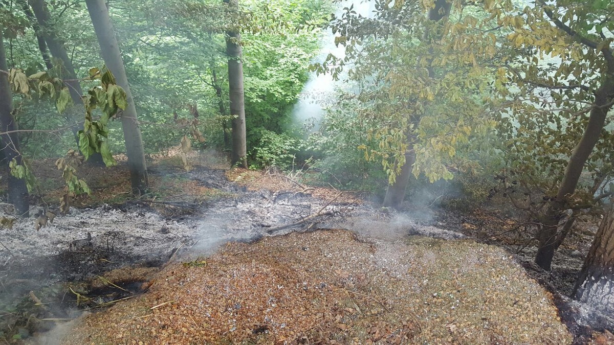 FW-AR: Kellerbrand und Waldbrände beschäftigen Arnsberger Feuerwehr