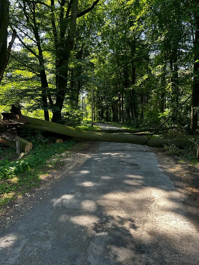 FW-Schermbeck: Baum blockiert Fahrbahn