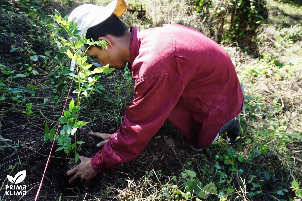 Bäume für Nicaragua: DEVK verlängert Kooperation mit Carglass® und PRIMAKLIMA