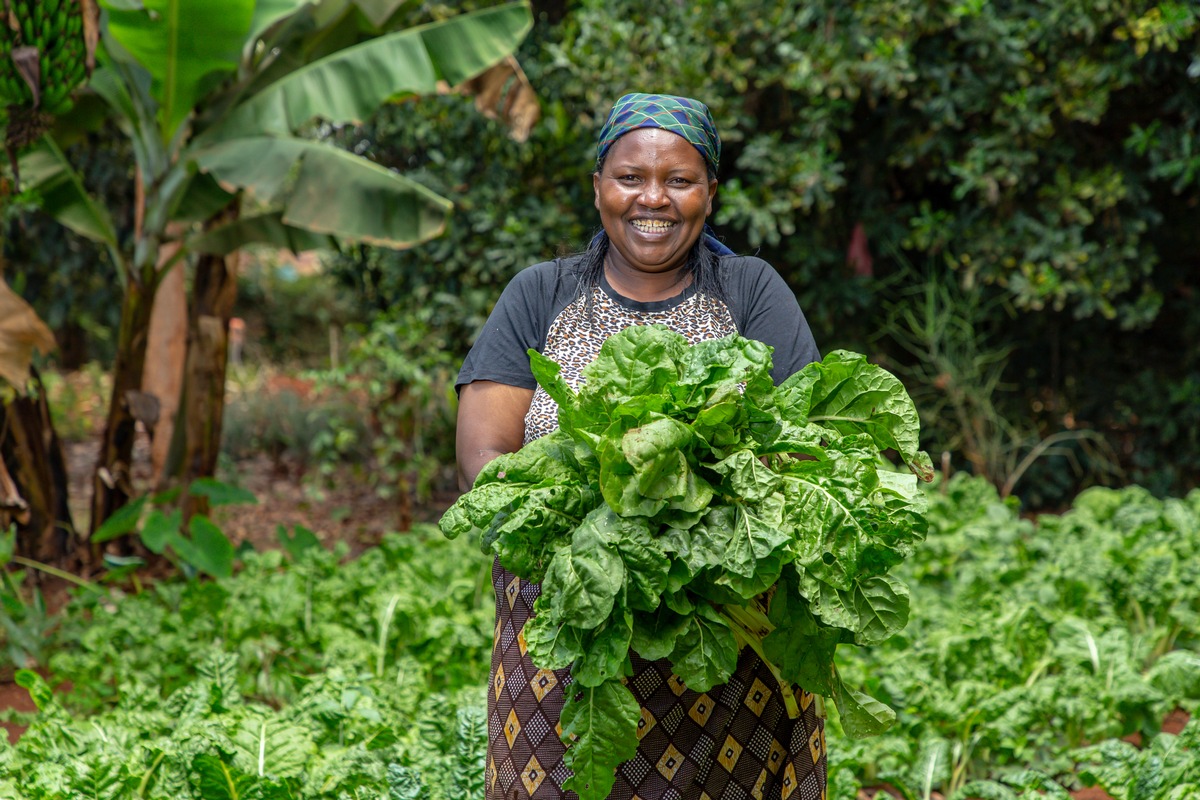 Hamburger Pensionskassen sind erste private Euro-Investoren in Fonds der Vereinten Nationen / Erste Privatplatzierung in Euro zur Finanzierung von Projekten der UN-Sonderorganisation IFAD