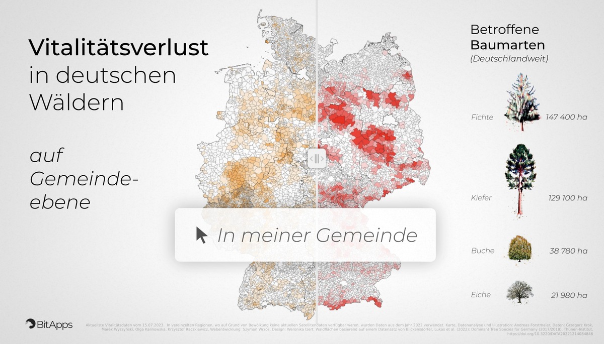 Deutsche Wälder im Stress: Eine Satellitenkarte zeigt die aktuelle Situation für alle Gemeinden