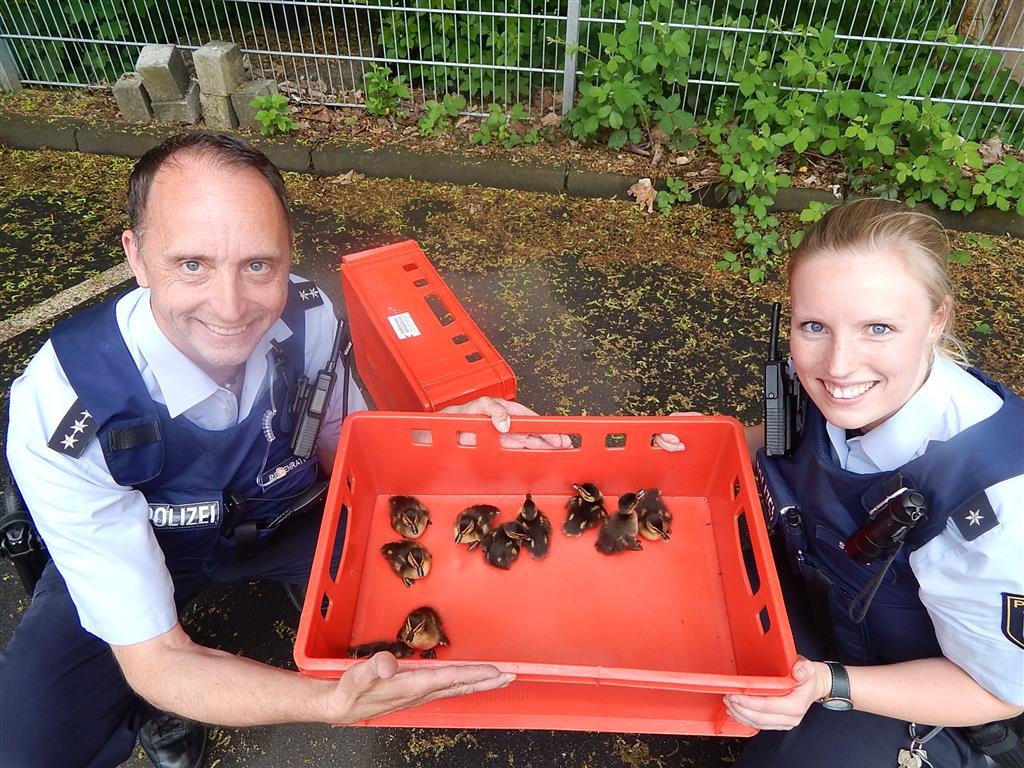 POL-PPKO: ++Rettungseinsatz der besonderen Art in Betzdorf++