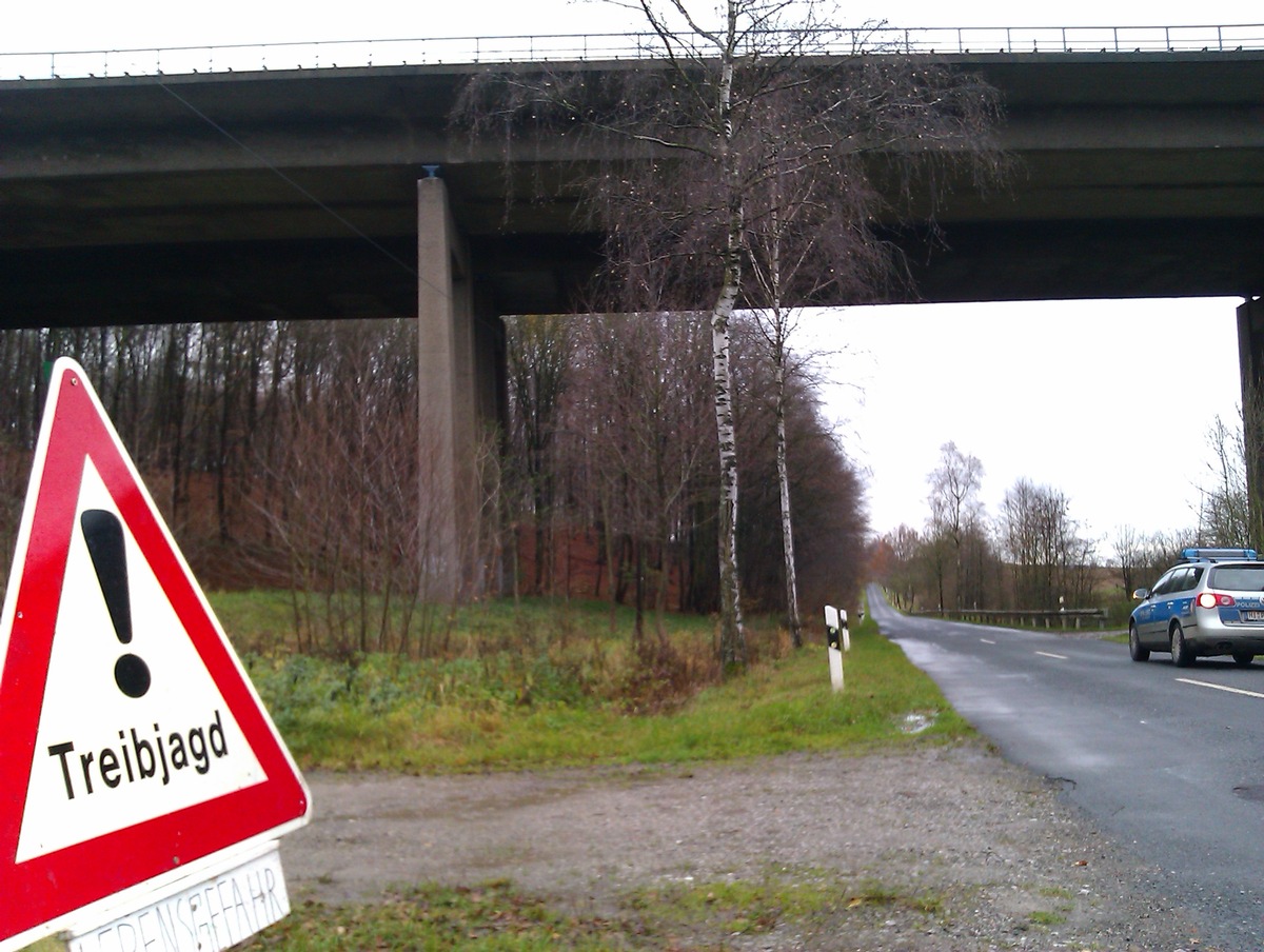 POL-HI: Mehrere Unfälle durch Wildschweine auf der Autobahn