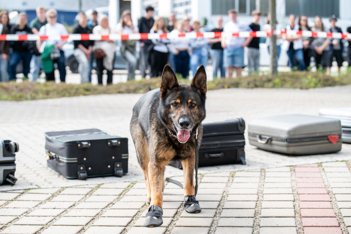 HZA-R: Kein Liebesbrief im Gepäck - Zollhund 