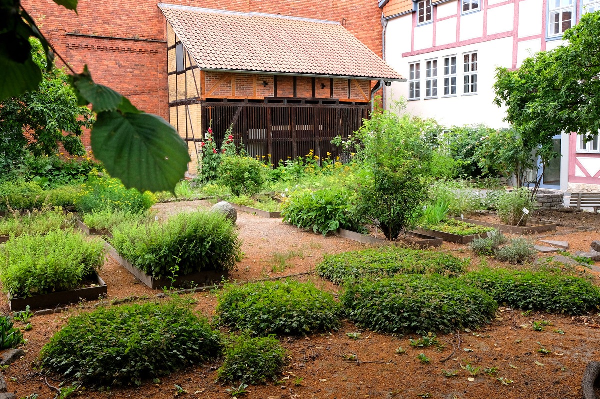 Stadtführung: Gärten und Höfe in der Altstadt