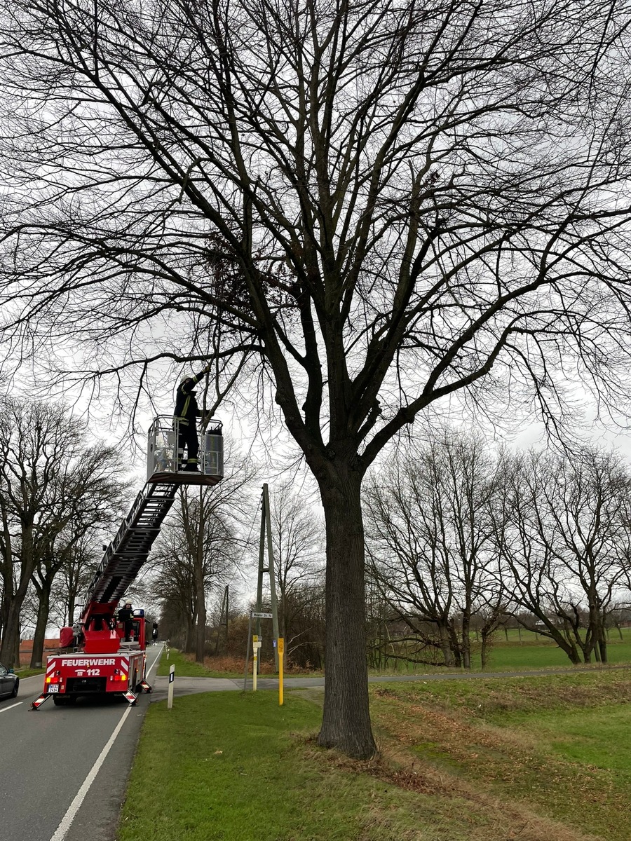 FW-Schermbeck: Ein weiterer Sturmeinsatz