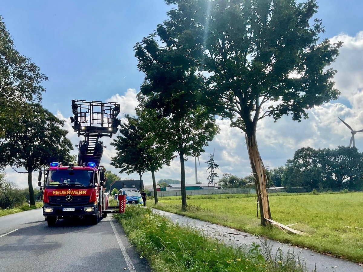 FW Alpen: Gespaltener Baum nach Blitzeinschlag