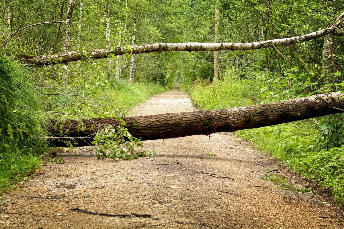 Richtiges Verhalten bei Wind, Sturm und Unwetter - ADAC Hessen-Thüringen gibt Tipps für Autofahrer