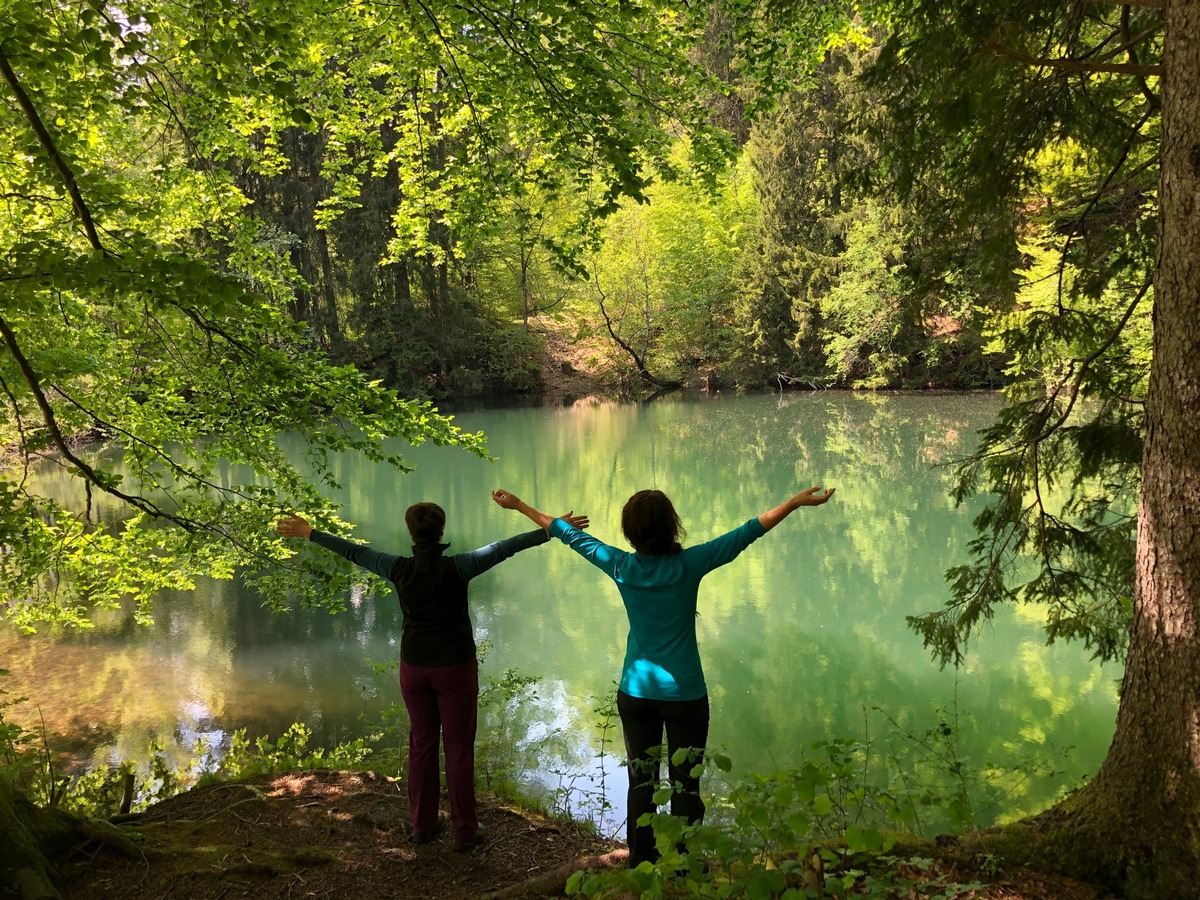 Wald. Wunder. Allgäu. Sechs verschiedene Expertinnen und Pädagogen erklären die Faszination.