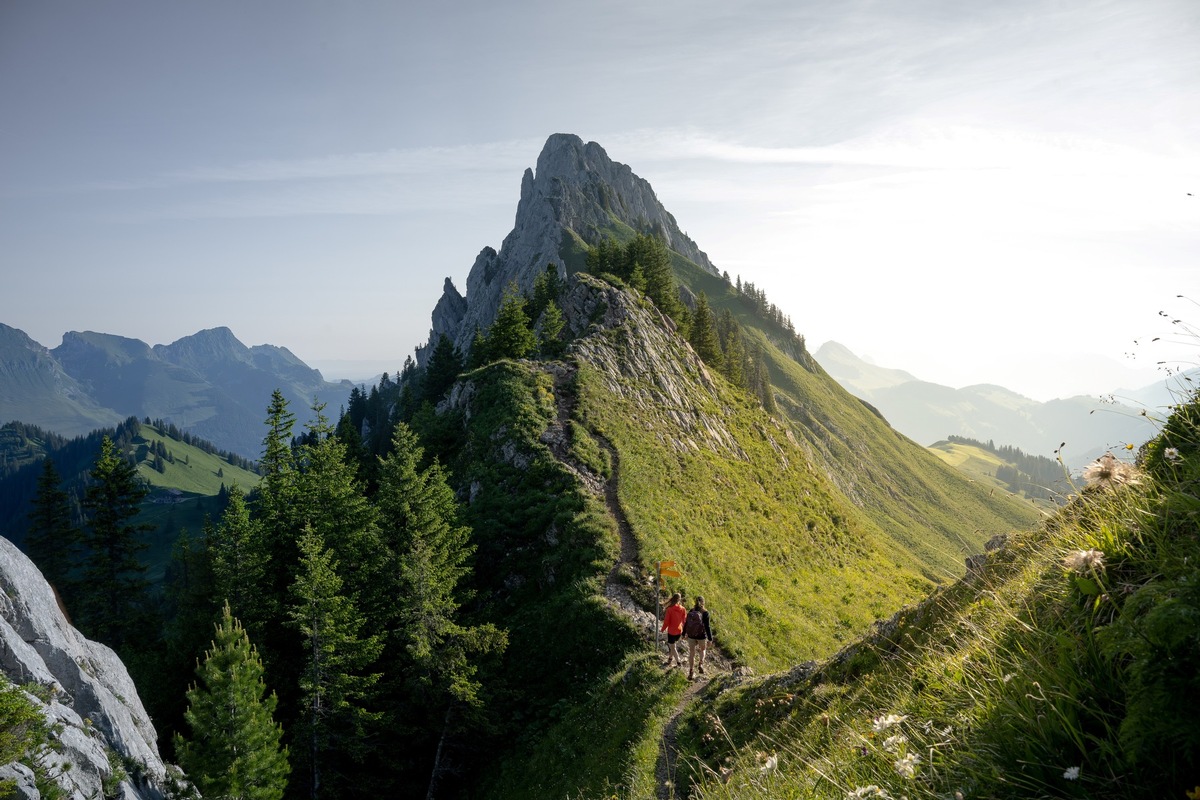 Die Sommersaison naht mit grossen Schritten – wegweisende Projekte im Kommen