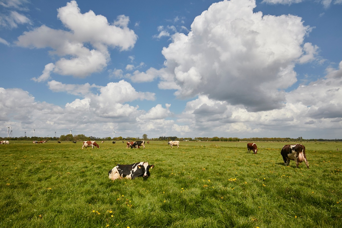 Bilanz 2021: Arla Foods bleibt trotz volatiler Marktbedingungen auf Wachstumskurs