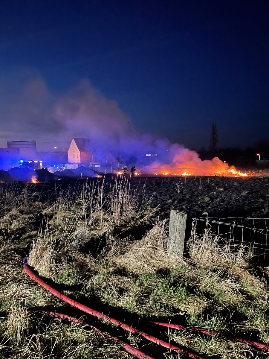 FW Horn-Bad Meinberg: Wiese auf 1000qm abgebrannt - Feuer drohte auf Gewerbekomplex überzugreifen