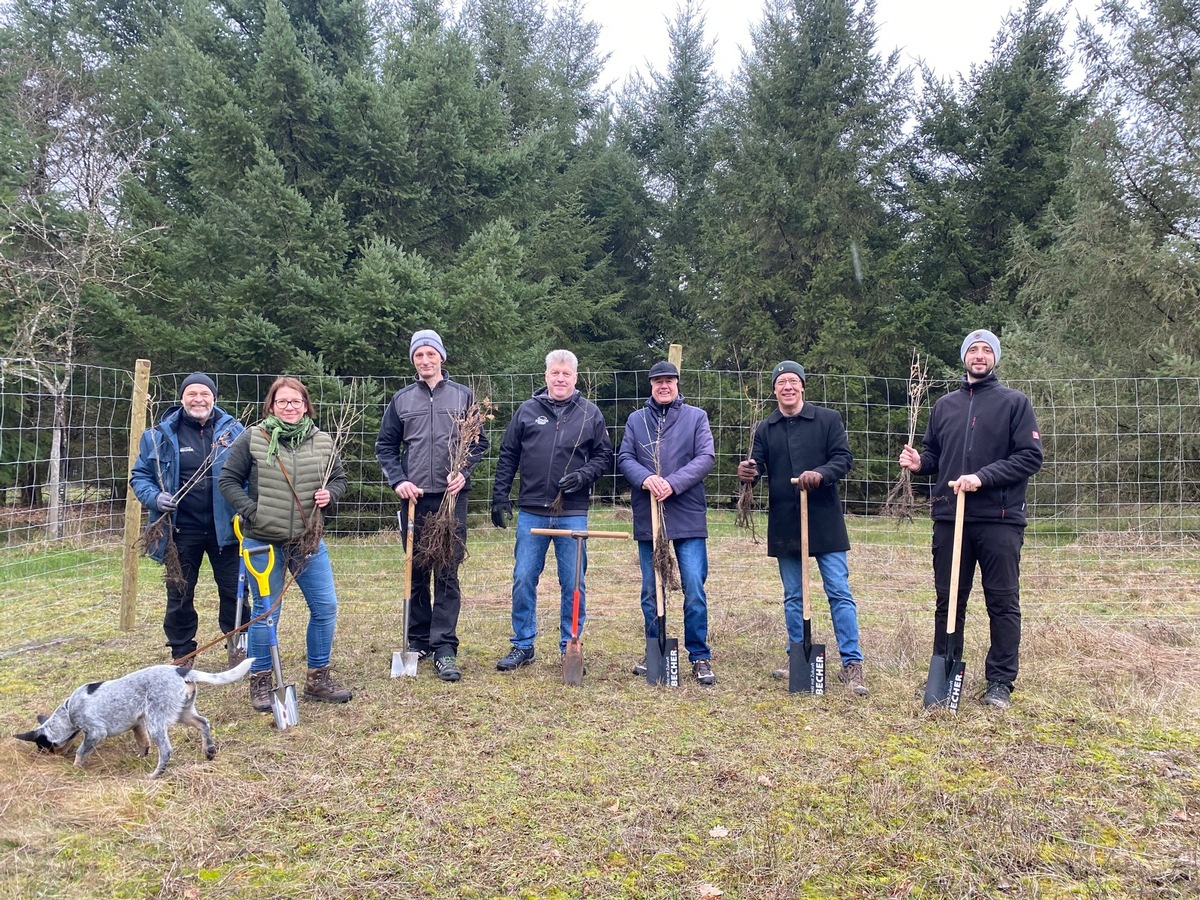 In Peffingen stehen 800 neue Laubbäume