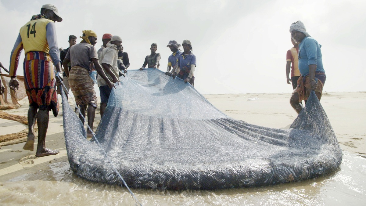 Wem gehört das Meer? &quot;planet e.&quot; im ZDF über Ocean Grabbing (FOTO)