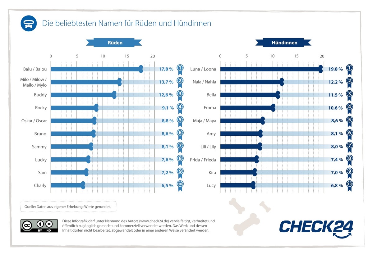 Luna, Balu und Nala - das sind die beliebtesten Hundenamen