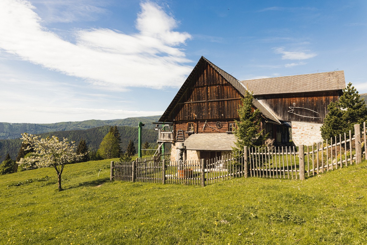 Idylle ade! Joyn lädt im Winter neun Promi-Paare ins &quot;Forsthaus Rampensau Germany&quot; ein