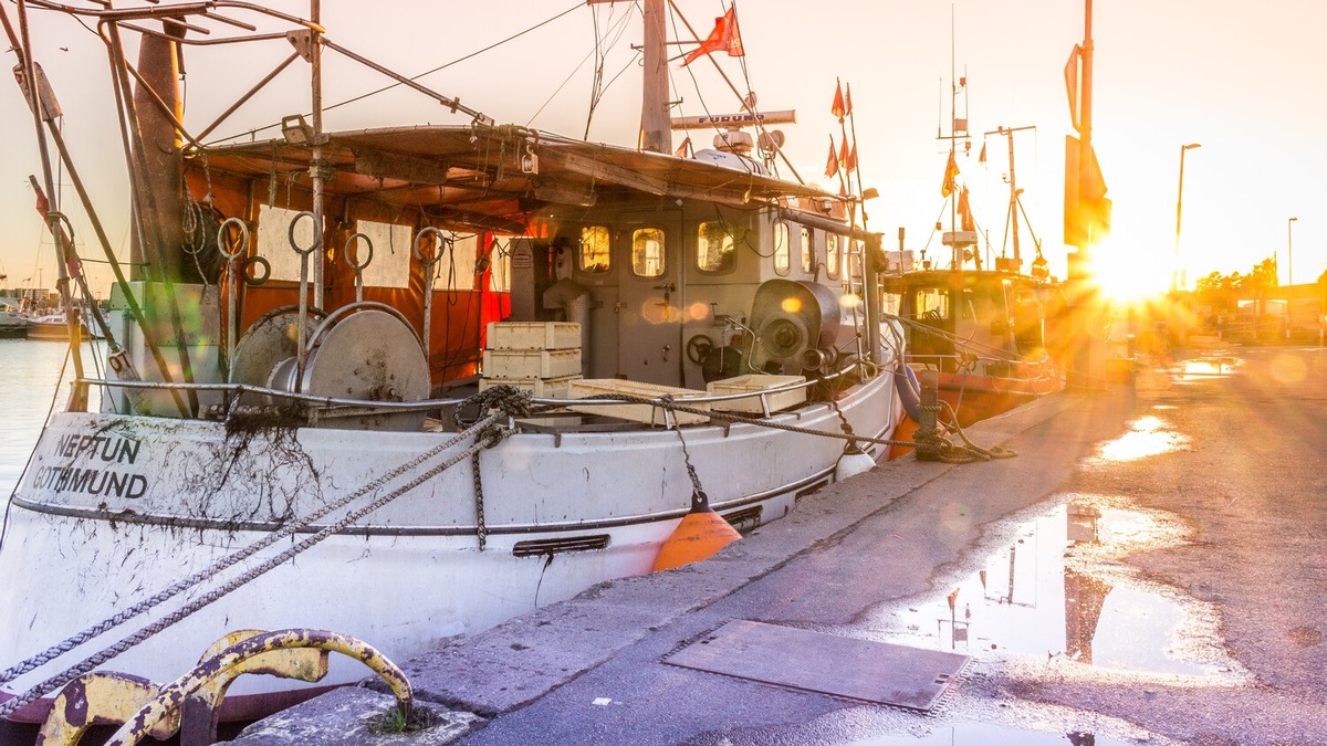 Schleswig-Holstein feiert den Fisch!