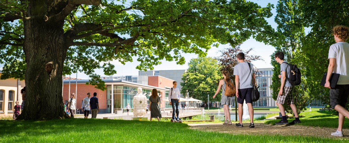 CHE Ranking: Top-Bewertungen für das Informatik-Studium am HPI