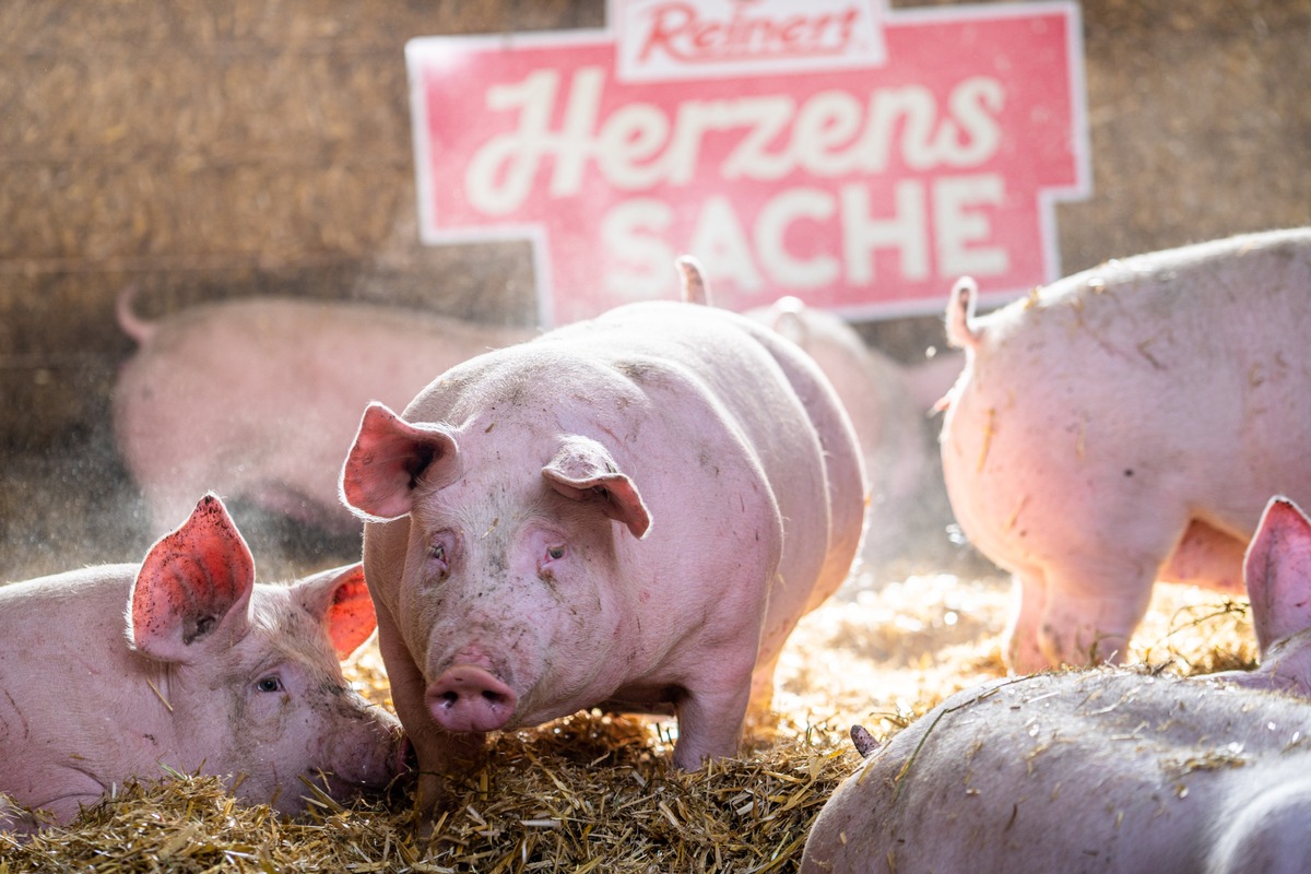 Neue Wege in der Nutztierhaltung / The Family Butchers stellt weiterentwickeltes Konzept der Marke Reinert HerzensSACHE vor