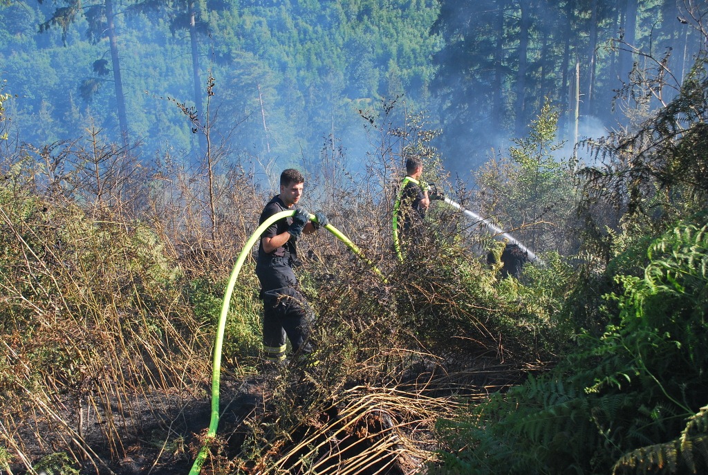 FW-MK: Waldbrand im Grüner Tal fordert die Feuerwehr