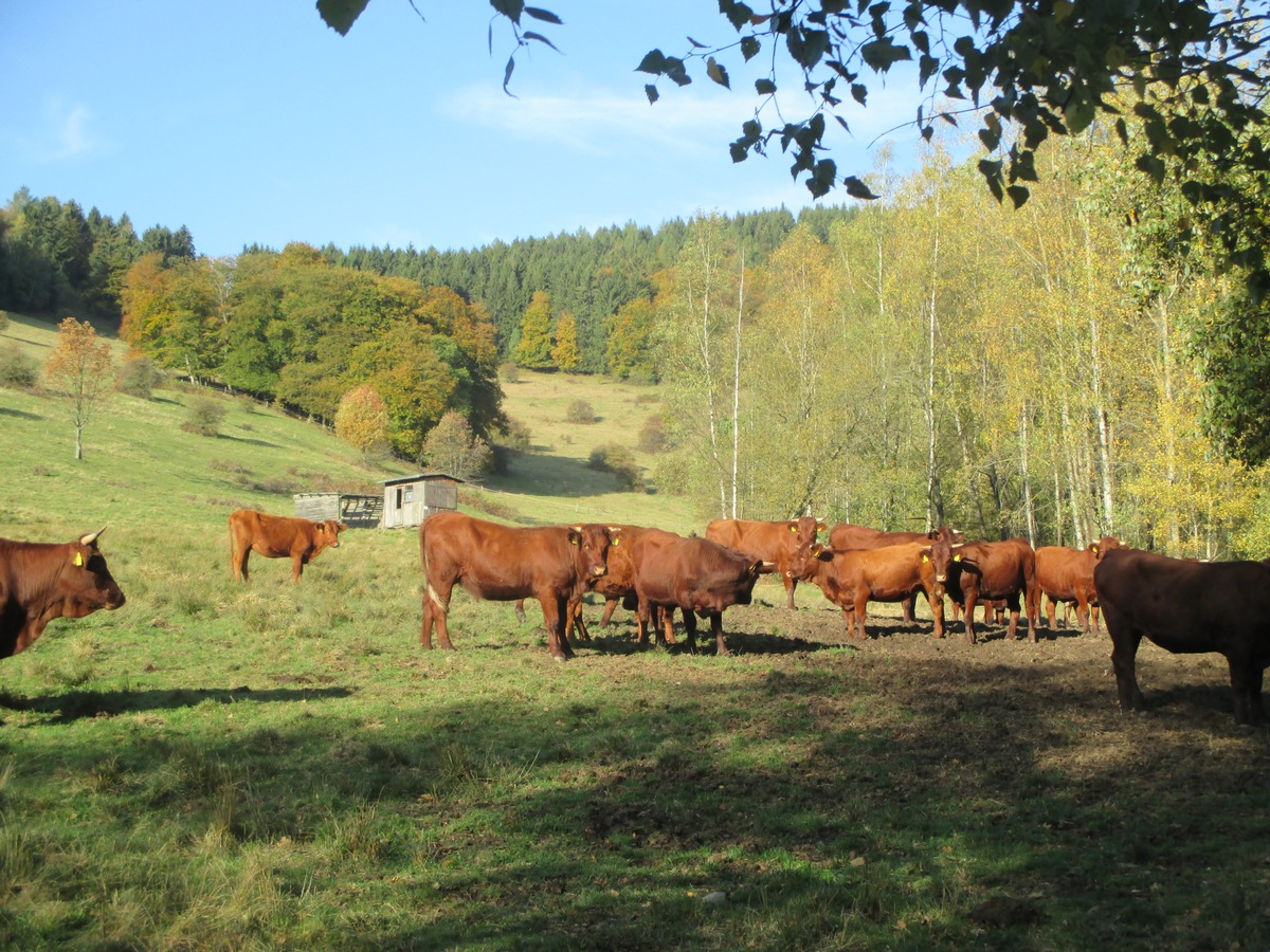 POL-GS: Langelsheim. Pressebericht v. 14.10.2019