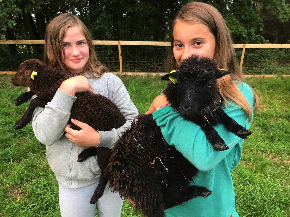 Neue tierische Gäste in Panarbora / Streichelzoo wartet auf Jung und Alt