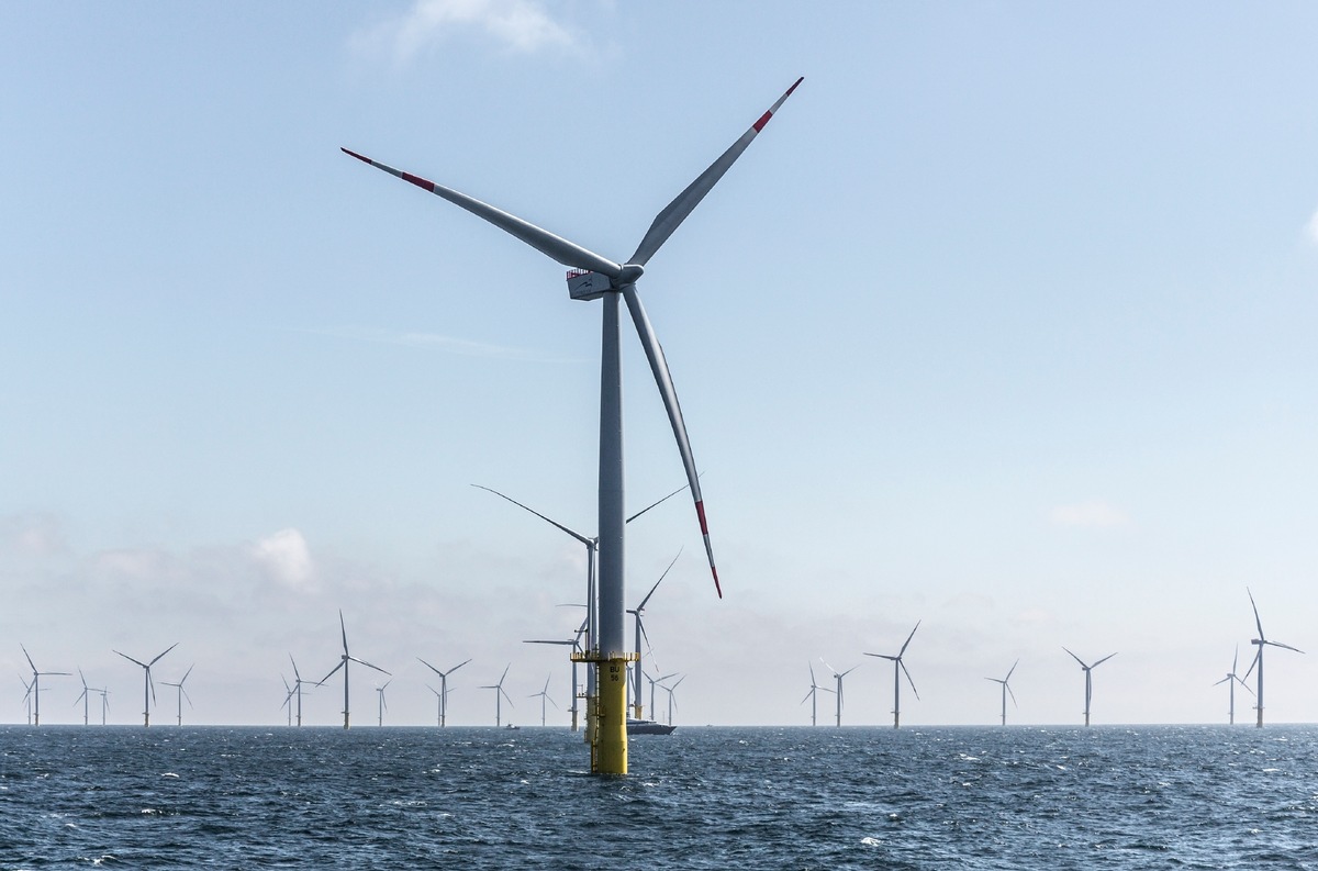 Octopus Energy tritt mit erster Investition in den deutschen Offshore-Windmarkt ein