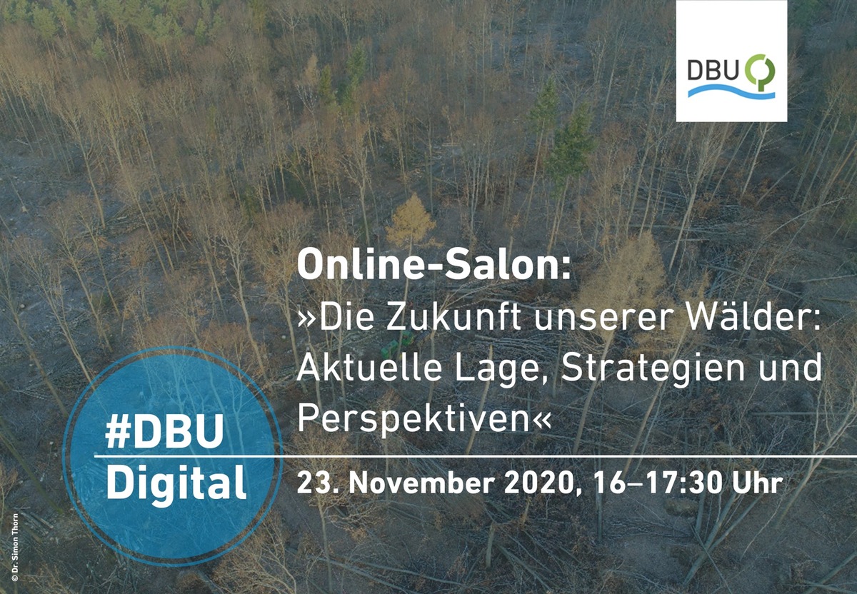 DBU-Online-Salon zur Zukunft des Waldes