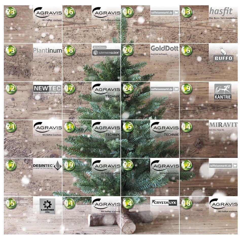 Online-Adventskalender startet / 24 Tage vorweihnachtliche Stimmung und Spannung