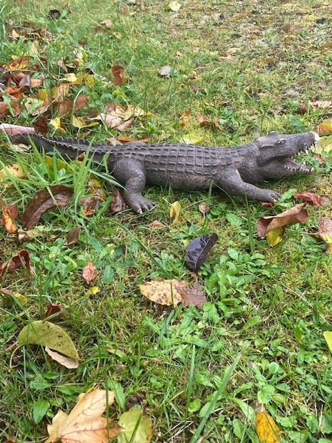 POL-PDPS: Und dann war da noch der sensationelle Reptilienfund im Dahner Kurpark