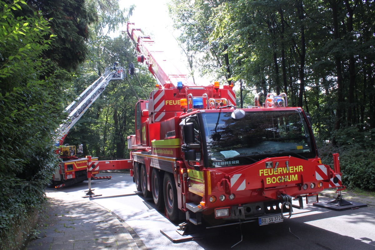 FW-BO: Zwei ca. 15 m hohe Bäume drohen zu fallen