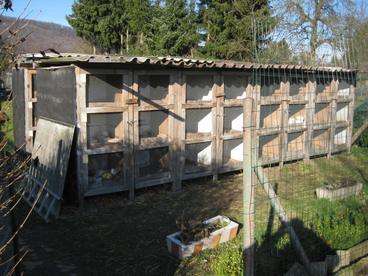 POL-HOL: Holzminden - Ziegeleiweg: 15 Zuchtkaninchen gestohlen - Tatzeit: Montag, 07.02.2011 zwischen 09:00 und 13:00 Uhr -