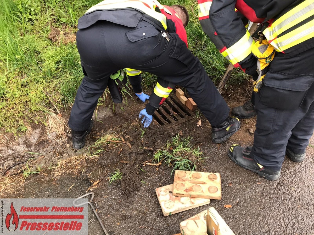 FW-PL: Tierischer Vormittag für die Feuerwehr