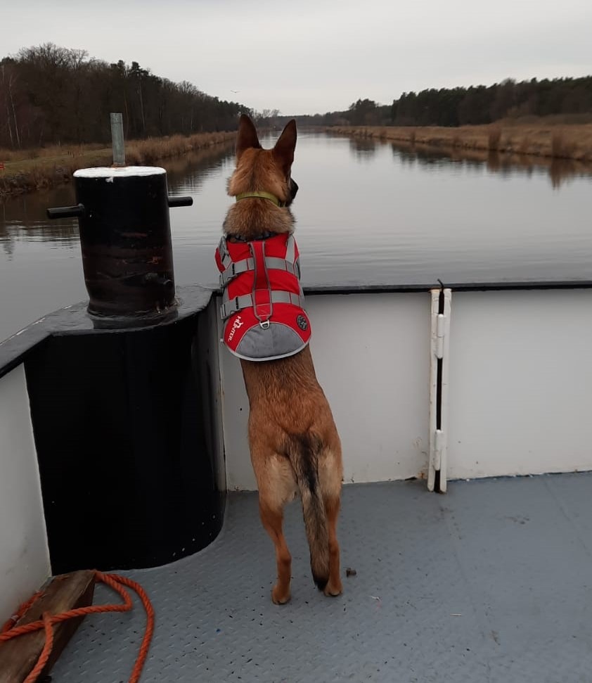 POL-H: Mittellandkanal: Wasserschutzpolizei findet über Bord gegangenen jungen Hund