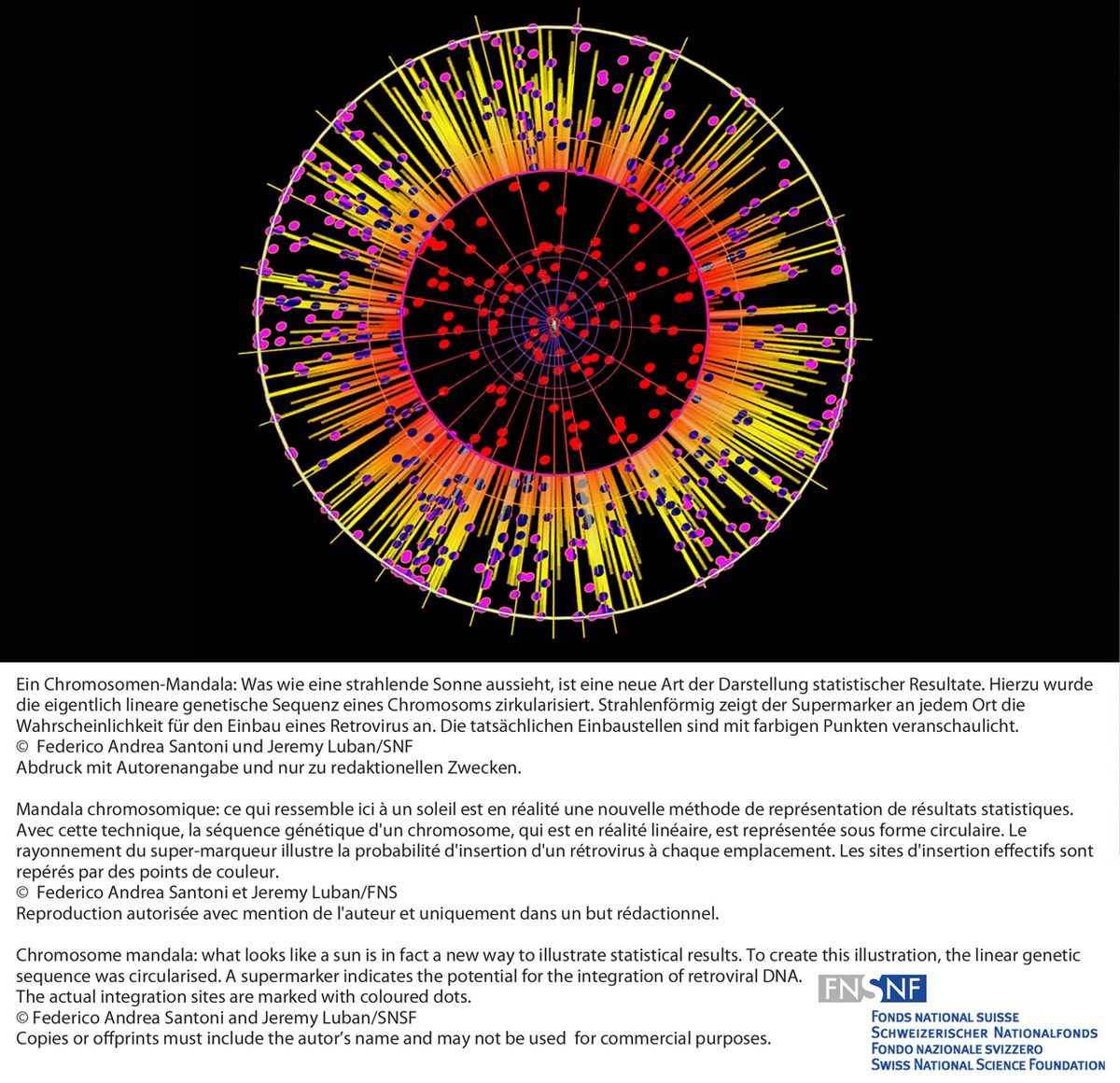 FNS: Image de la recherche février 2011: Cartographie des sites privilégiés d&#039;insertion du patrimoine génétique des rétrovirus