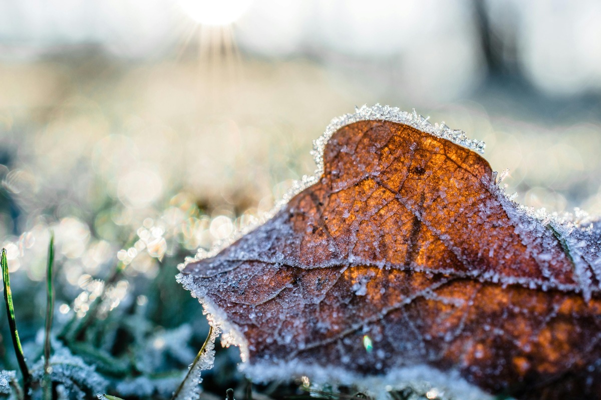 Kälte, Frost und Schnee - die Provinzial informiert über Risiken im Winter