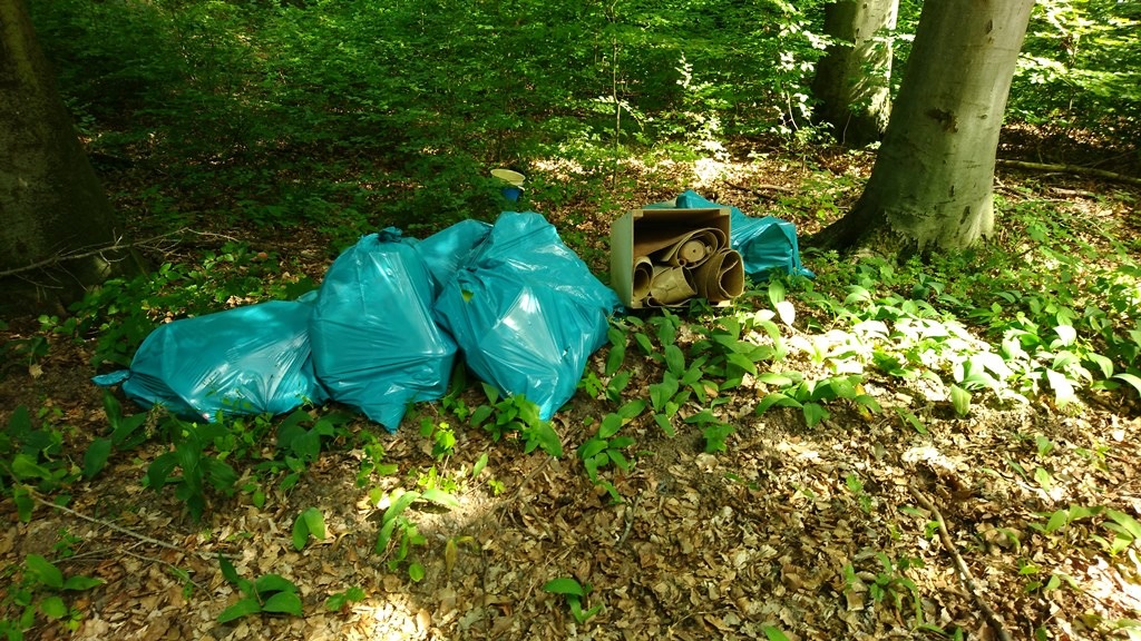 POL-MA: Waibstadt/Rhein-Neckar-Kreis: Müll im Wald abgeladen - Polizei sucht Zeugen