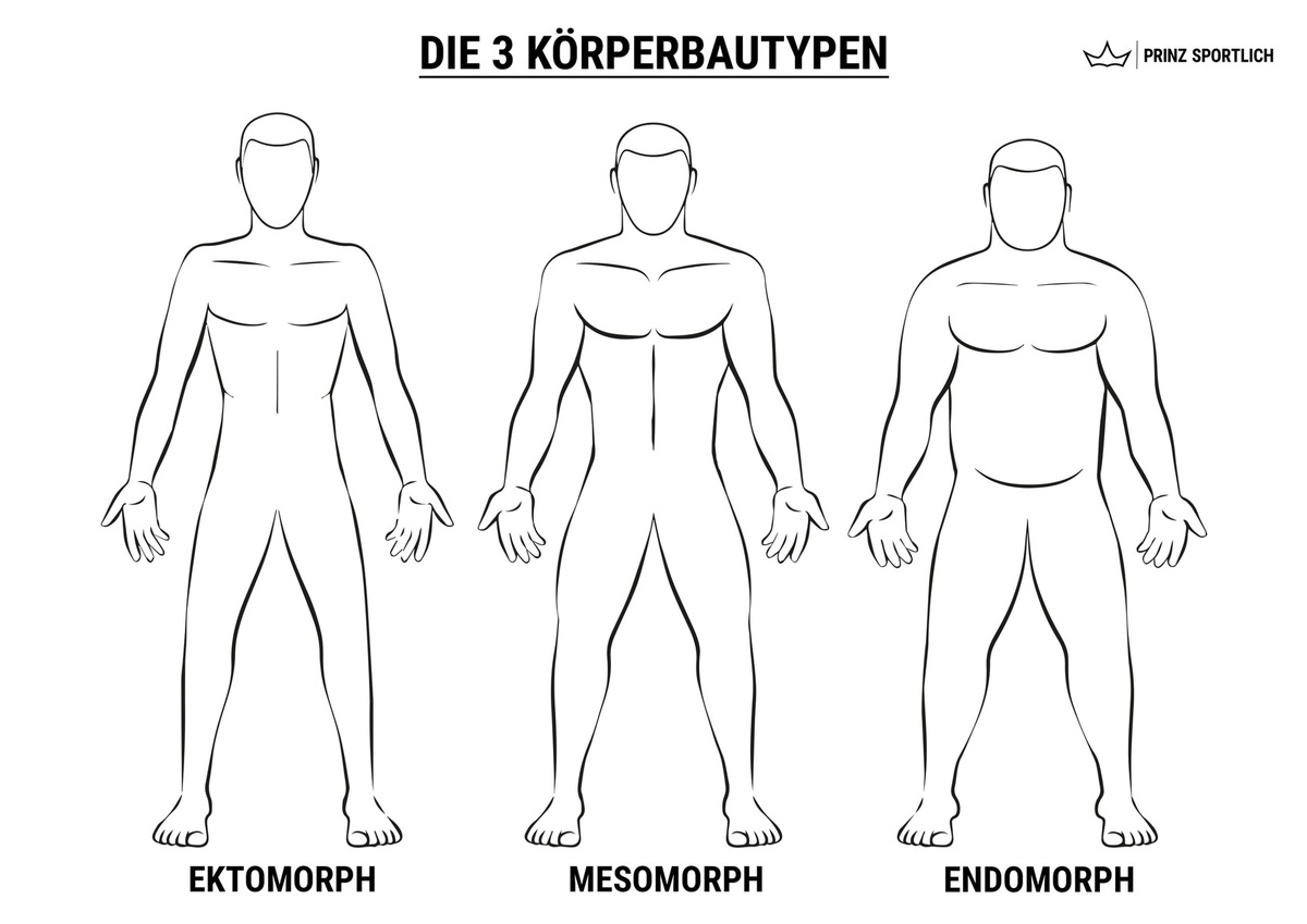 Somatypen: So klappt&#039;s mit dem Trainingserfolg!