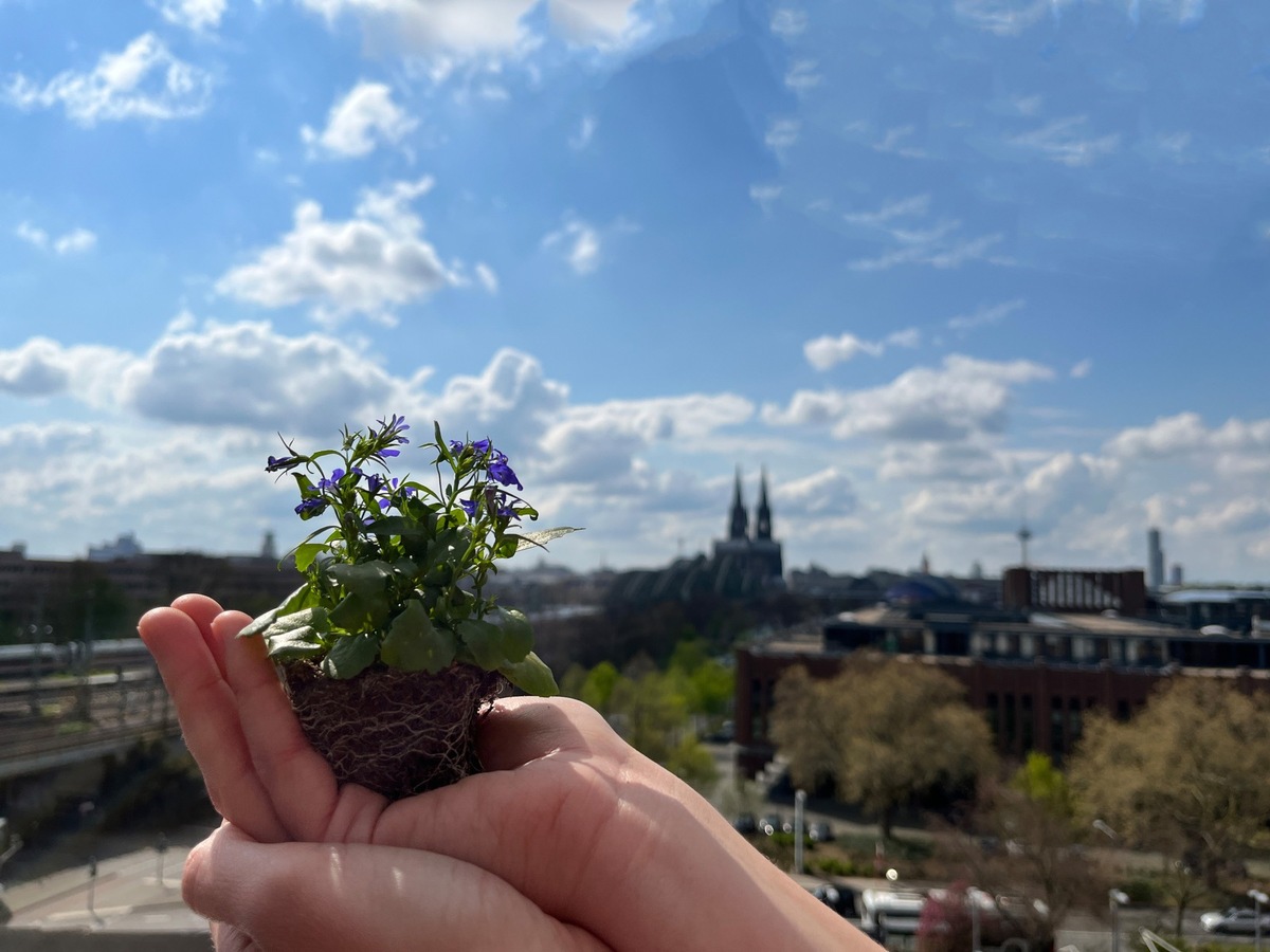 Zurich Versicherung unterzeichnet die Klimaerklärung der Stadt Köln