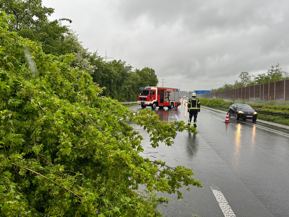 FW-Lohmar: Mehrere wetterbedingte Einsätze nach starken Windböen